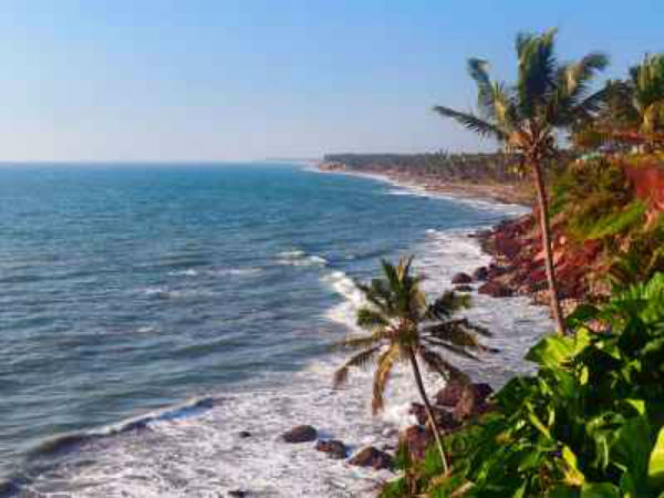 11. ವರ್ಕಲಾ 11. ವರ್ಕಲಾ