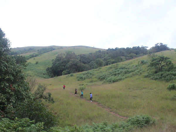 ಕೊಡಾಚಾದ್ರಿ