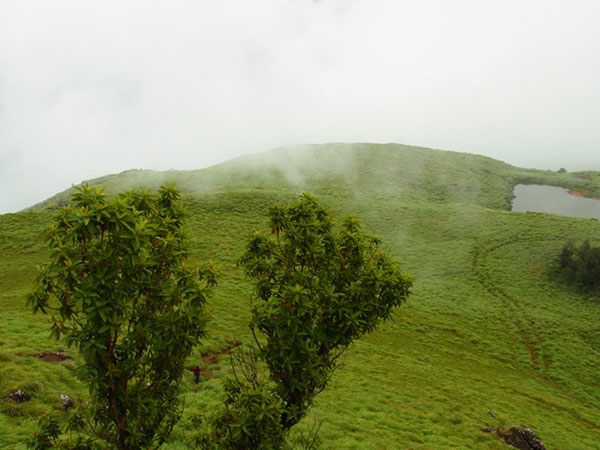 ವೈತಿರಿ, ಕೇರಳ