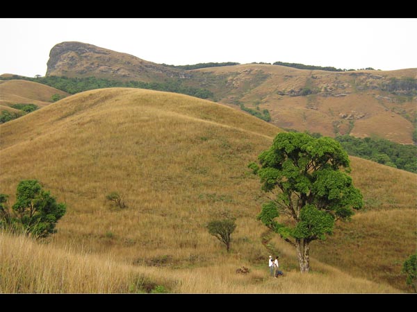 ಕುದ್ರೆಮುಖ