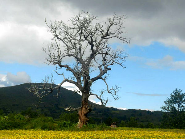 6. ಕುಮಾರಕೋಮ್ 6. ಕುಮಾರಕೋಮ್