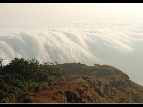 ಕೊಡಾಚಾದ್ರಿ