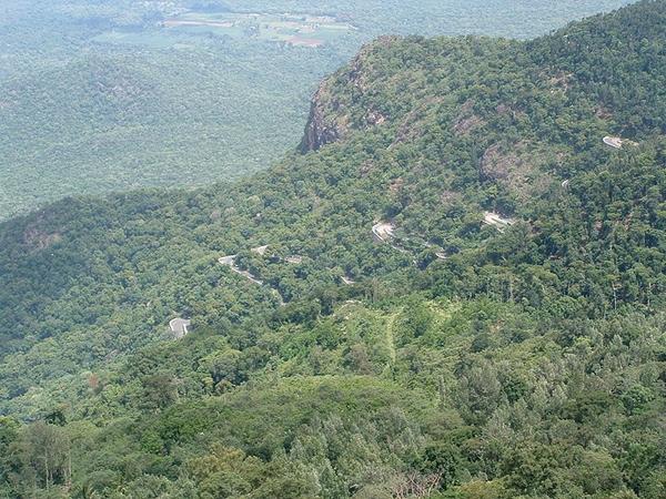 sathyamangalaforest sathyamangalaforest