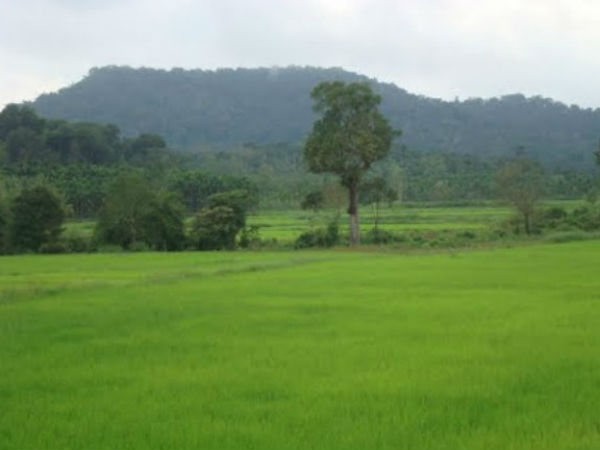 ಶಾಪಿಂಗ್ 