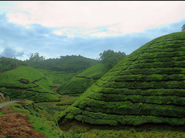 ಮುನ್ನಾರ್