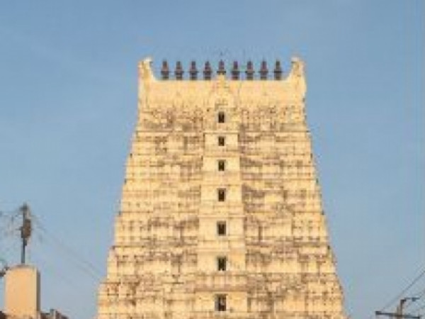 photo-91-160701-11-1661018723.jpg -Properties