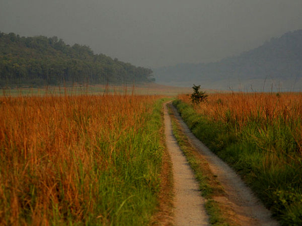 ಜಿಮ್ ಕೋರ್ಬೆಟ್ ರಾಷ್ಟ್ರೀಯ ಉದ್ಯಾನವನ