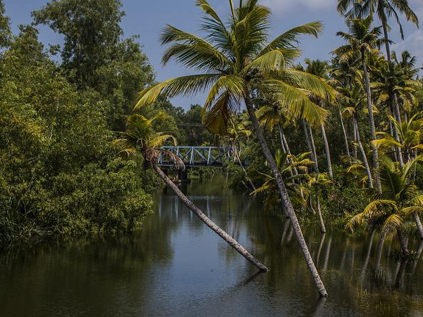 ಅಲೆಪ್ಪಿ ಅಥವಾ ಆಲಪ್ಪುಳ