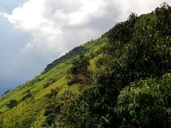 arun-yokesh-j-h75t-pk9i-unsplash1-1661585622.jpg -Properties