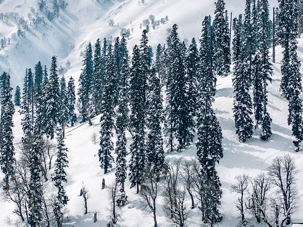ಜಮ್ಮು ಮತ್ತು ಕಾಶ್ಮೀರ 