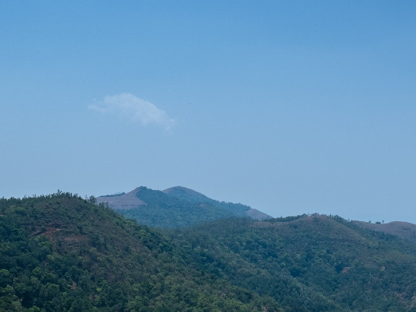 ravigopal-kesari-hyx-oagglrg-unsplash1-1661585743.jpg -Properties