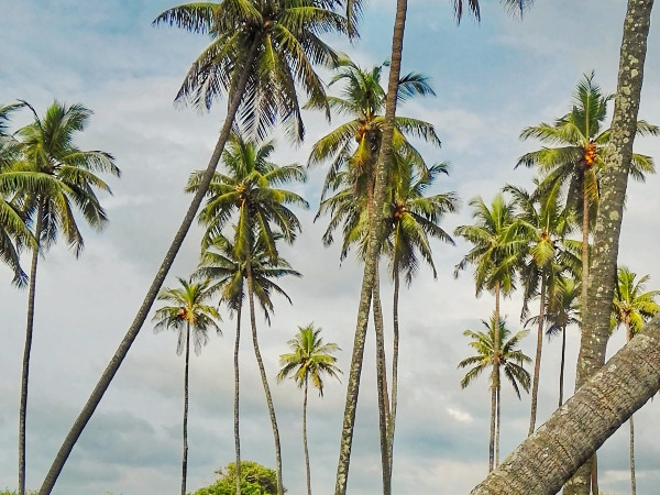 ಉಡುಪಿಗೆ ಸಮೀಪವಿದೆ 
