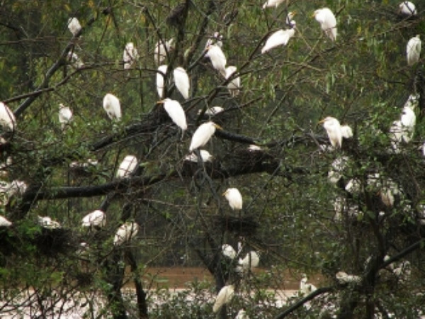 ಪ್ರವಾಸಿಗರು ಗಮನಿಸಬೇಕಾದ ವಿಷಯಗಳು