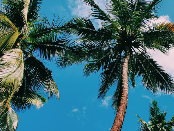 ಸಾಹಸಿ ಪ್ರಿಯರ ಮೆಚ್ಚಿನ ಸ್ಥಳ 