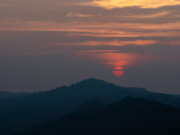 syed-ali-yokwj1reijm-unsplash1-1661585562.jpg -Properties