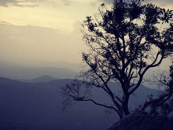 ಯೆರ್ಕಾಡ್