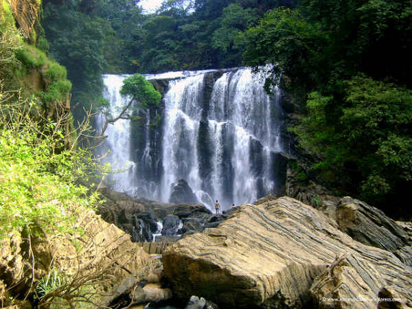 ಮಾಗೋಡ್ ಮಾಗೋಡ್