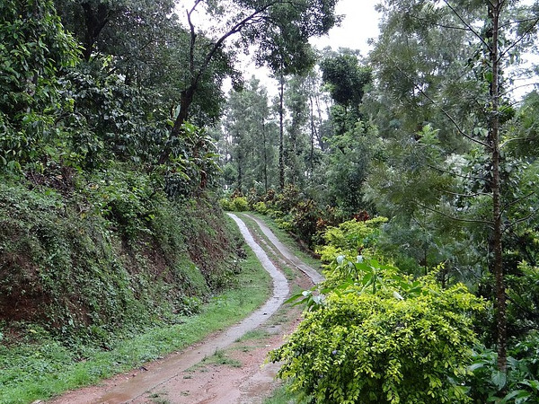 ಬೆಂಗಳೂರಿನಿಂದ ಹೊರಟ ಮೇಲೆ…