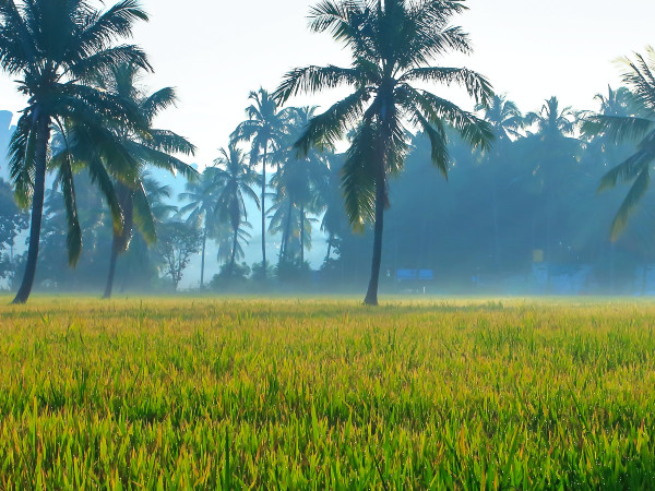 ಏನೆಲ್ಲಾ ಮಾಡಬಹುದು ನೋಡಿ… 