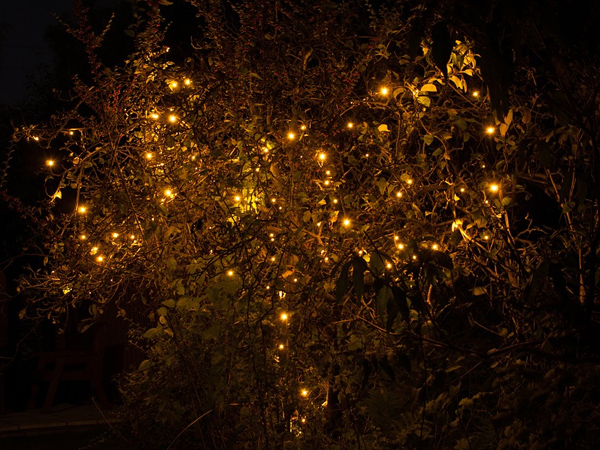 ಬಳ್ಳಾರಿ