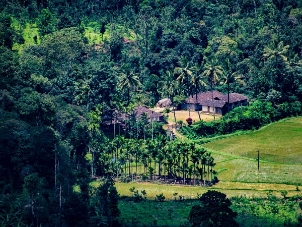 ಕೂರ್ಗ್ :