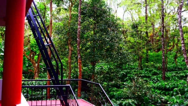 coorg resorts stay
