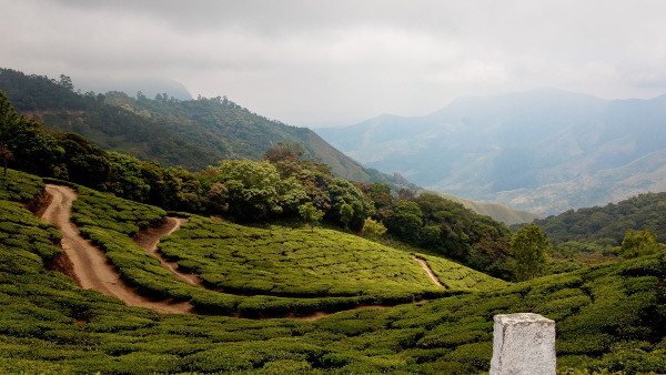 munnar1 munnar1