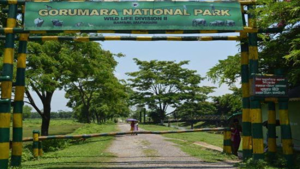 gorumara national park