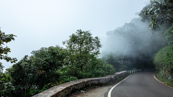 morning ooty morning ooty