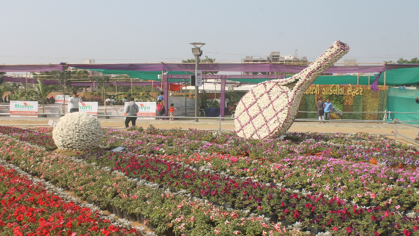ahemadabad flower show ahemadabad flower show