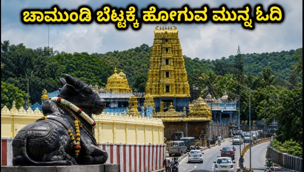 Chamundi Hill Ashada Friday 2026: Complete Guide for Darshan, Traffic, and Parking Rules Chamundi Hill Ashada Friday 2026: Complete Guide for Darshan, Traffic, and Parking Rules