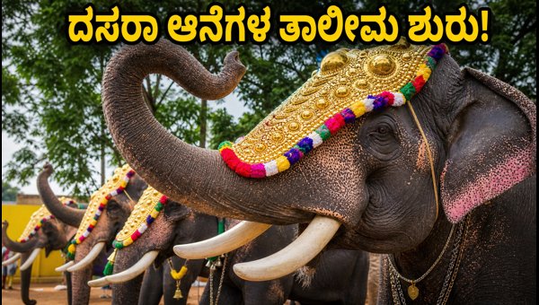 Mysore Dasara Elephant Rehearsals 2026: Best Free Viewing Spots and Budget Travel Tips for Visitors