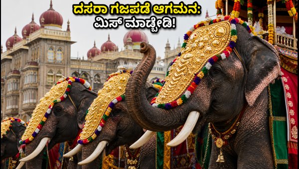 Mysore Dasara Gajapade Entry 2026: Best Tips to Witness the Grand Palace Welcome and Viewing Guide