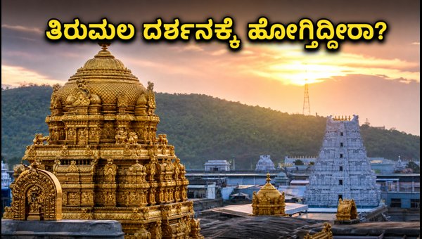 Tirumala Darshan Queue Status 2026: Essential Travel Tips for Pilgrims