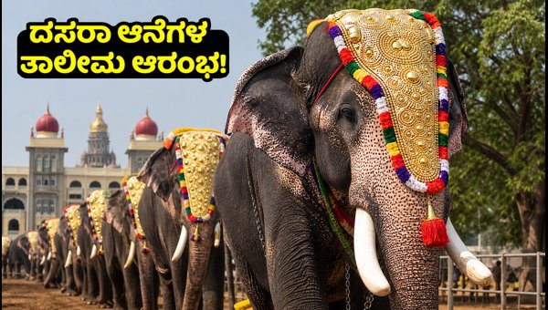 Mysore Dasara Elephant Rehearsal 2026: Best Viewing Spots, Traffic Updates, and Travel Tips Mysore Dasara Elephant Rehearsal 2026: Best Viewing Spots, Traffic Updates, and Travel Tips