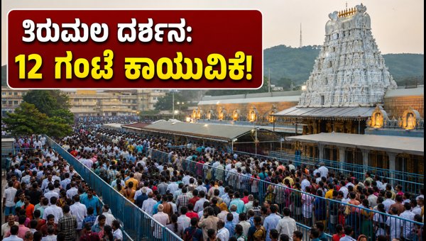 Tirumala TTD Darshan Update: 12-Hour Waiting Time and Travel Tips for Pilgrims (2026)
