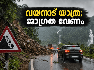 വയനാട്ടിൽ റെഡ് അലർട്ട്; വിനോദസഞ്ചാര കേന്ദ്രങ്ങൾ അടച്ചു, യാത്ര പ്ലാൻ ചെയ്തവർ ഉടൻ ശ്രദ്ധിക്കുക