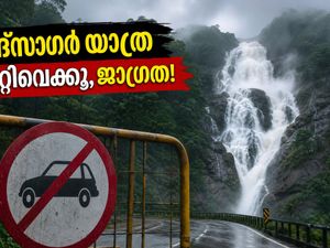 ഗോവ യാത്ര പ്ലാൻ ചെയ്തവർ ശ്രദ്ധിക്കുക; കനത്ത മഴയെത്തുടർന്ന് ദൂദ്‌സാഗർ വെള്ളച്ചാട്ടം അടച്ചു
