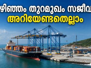 വിഴിഞ്ഞം തുറമുഖം ഓഗസ്റ്റ് 18 മുതൽ സജീവം; കപ്പലുകൾ കാണാൻ എവിടെ പോകണം? അറിയേണ്ടതെല്ലാം