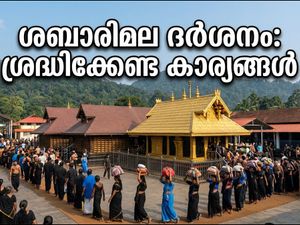 ശബരിമല നട തുറന്നു: ചിങ്ങമാസ പൂജകൾക്കായി ഭക്തർക്ക് ദർശനം നടത്താം; അറിയേണ്ടതെല്ലാം