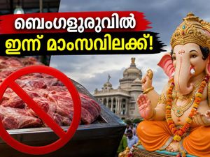 ബെംഗളൂരുവിൽ ഇന്ന് മാംസവിലക്ക്; ഹോട്ടലുകളിൽ നോൺ-വെജ് കിട്ടില്ലേ? യാത്രക്കാർ അറിയേണ്ടതെല്ലാം