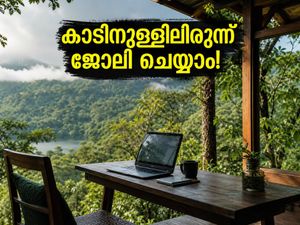 കാടിനുള്ളിലിരുന്ന് ജോലി ചെയ്യാം! ഗവിയിലും സൂര്യനെല്ലിയിലും 'ഷോള വർക്കേഷൻ' തുടങ്ങി; അറിയേണ്ടതെല്ലാം