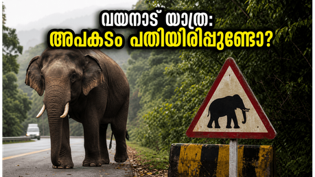 വയനാട്ടിൽ പോകാൻ പ്ലാൻ ഉണ്ടോ? കാട്ടാന ആക്രമണത്തെത്തുടർന്ന് ഈ കാര്യങ്ങൾ അറിയാതെ യാത്ര ചെയ്യരുത്, അപകടം പതിയിരിപ്പുണ്ട്!