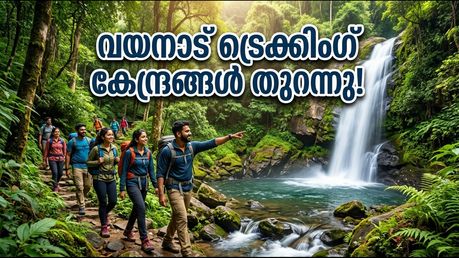 വയനാട് യാത്ര പ്ലാൻ ചെയ്യുന്നവർ ശ്രദ്ധിക്കുക; ട്രെക്കിംഗ് കേന്ദ്രങ്ങൾ തുറന്നു, സ്ലോട്ടുകൾ വേഗത്തിൽ തീരും!