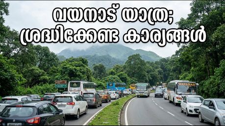 സ്വാതന്ത്ര്യദിന ലോങ് വീക്കെൻഡ്; വയനാട് യാത്ര പ്ലാൻ ചെയ്യുന്നവർ ഈ കാര്യങ്ങൾ അറിഞ്ഞിരിക്കണം, ഇല്ലെങ്കിൽ പണി പാളും!
