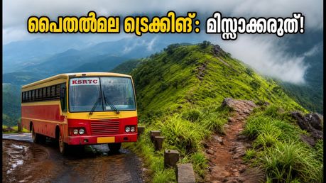 കണ്ണൂർ KSRTC ട്രെക്കിങ്: പൈതൽമലയും ഏഴരക്കുണ്ടും കാണാം; ഈ യാത്ര മിസ്സാക്കരുത്, അറിയാം വിവരങ്ങൾ