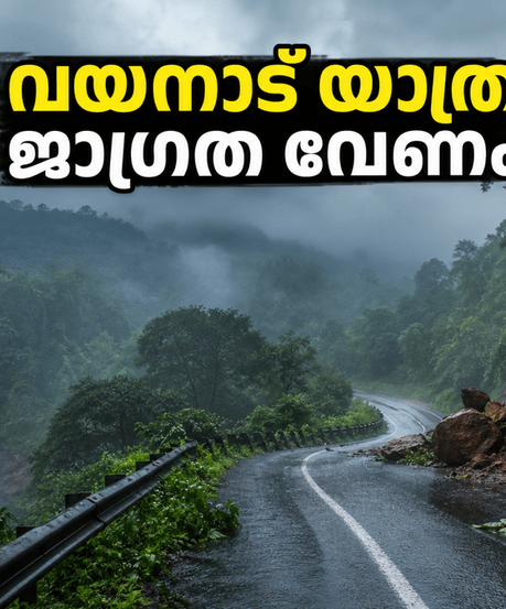 ബക്രീദ് അവധിക്ക് വയനാട്ടിലേക്ക് യാത്ര തിരിക്കും മുൻപ് ഇത് അറിയുക; മഴയും നിയന്ത്രണങ്ങളും വില്ലനാകുമോ?
