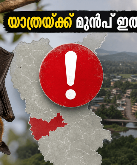 വയനാട് യാത്ര പ്ലാൻ ചെയ്യുന്നവർ ശ്രദ്ധിക്കുക; നിപ ജാഗ്രതയിൽ റൂട്ടുകൾ മാറി, സുരക്ഷാ നിർദ്ദേശങ്ങൾ ഇങ്ങനെ