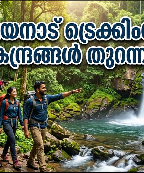 വയനാട് യാത്ര പ്ലാൻ ചെയ്യുന്നവർ ശ്രദ്ധിക്കുക; ട്രെക്കിംഗ് കേന്ദ്രങ്ങൾ തുറന്നു, സ്ലോട്ടുകൾ വേഗത്തിൽ തീരും!