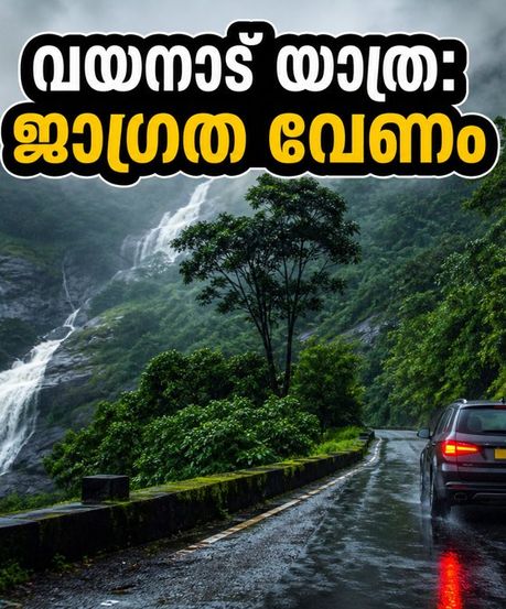 വയനാട് യാത്ര പ്ലാൻ ചെയ്യുന്നവർ ശ്രദ്ധിക്കുക; കനത്ത മഴയിൽ ചുരത്തിലും ട്രെക്കിംഗിലും കർശന നിയന്ത്രണം
